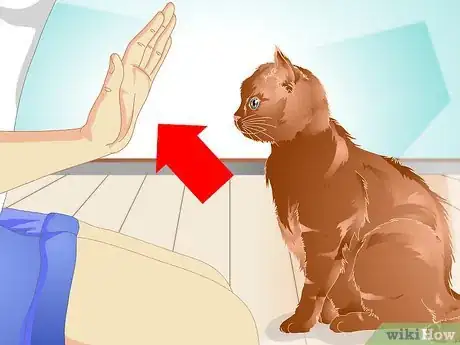 Image titled Teach a Cat to "High Five" Step 12